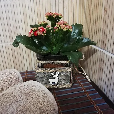 Heureka Apartment *